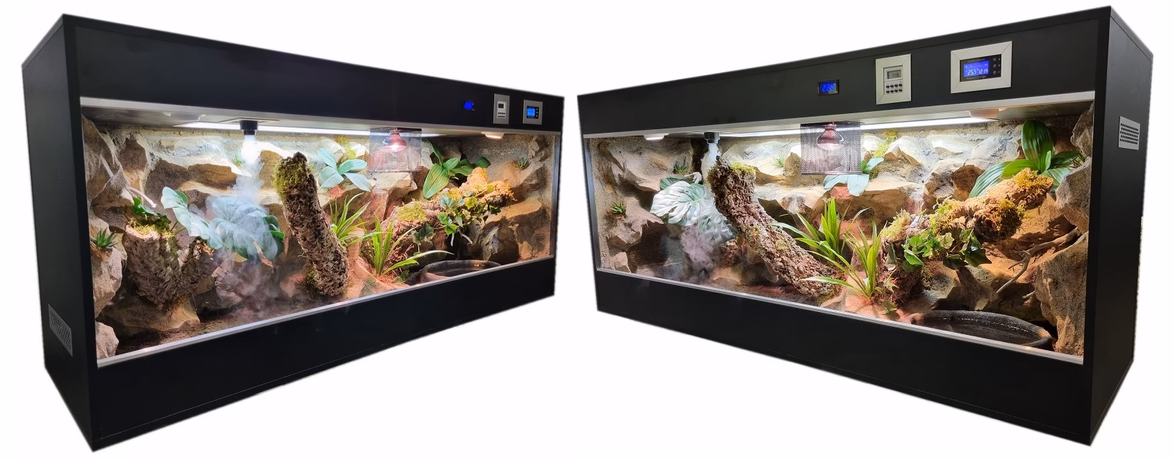 Jaki powinien być poziom wilgotności w paludarium?