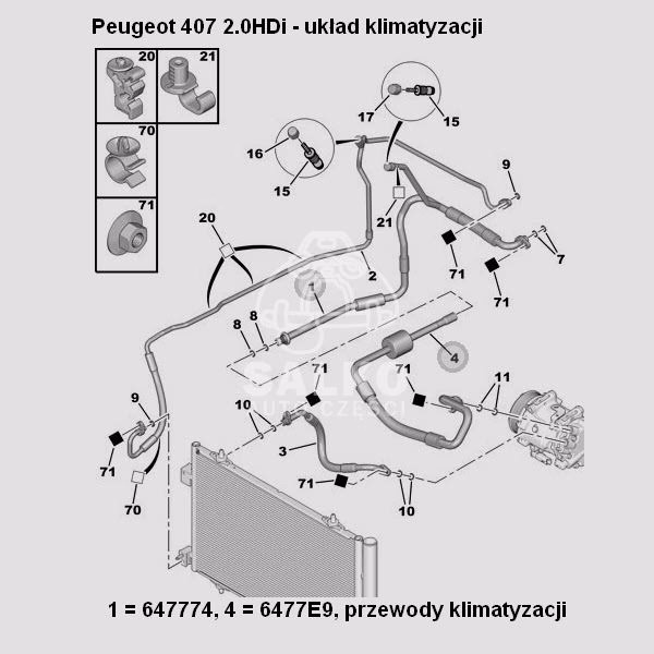 Ile gazu pali Peugeot 407?