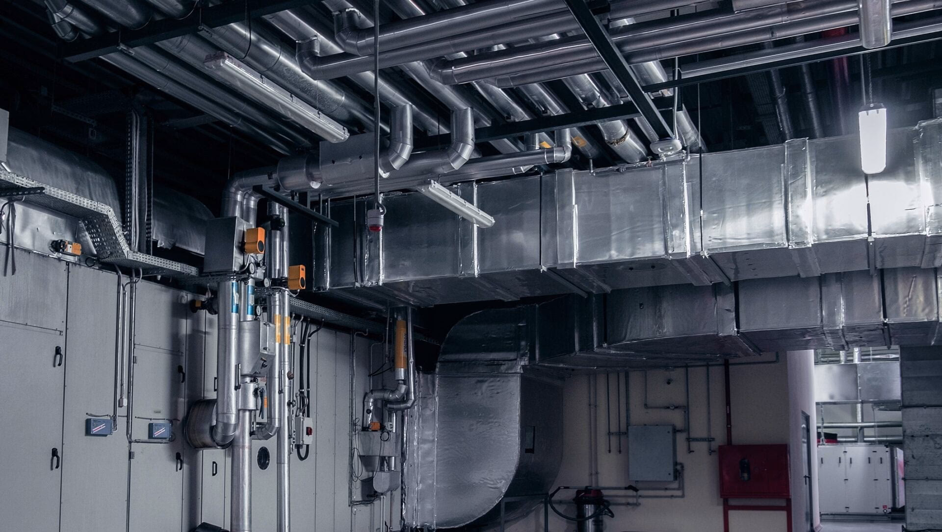 Do czego służy rewizja?