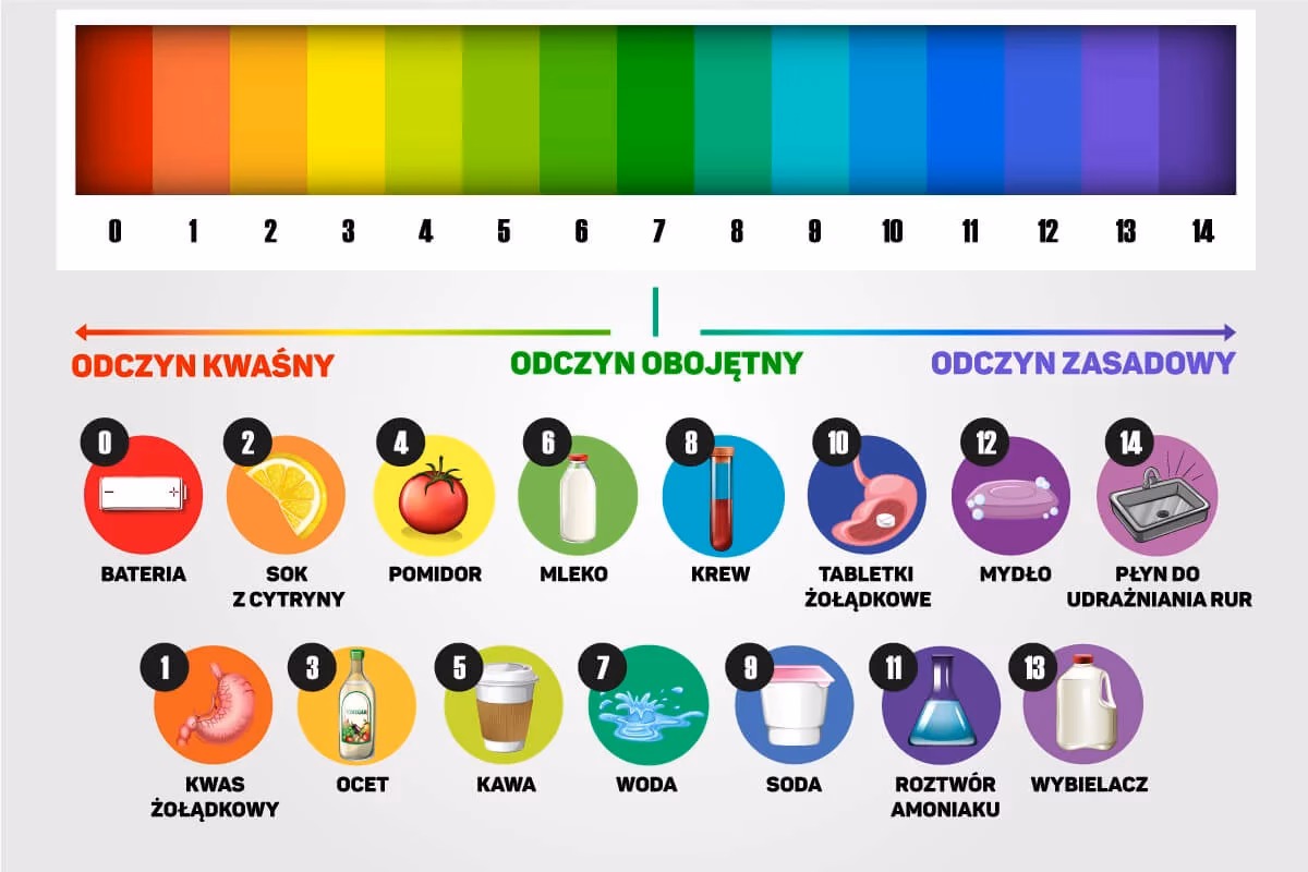 Jak wentylacja wpływa na równowagę kwasowo-zasadową?