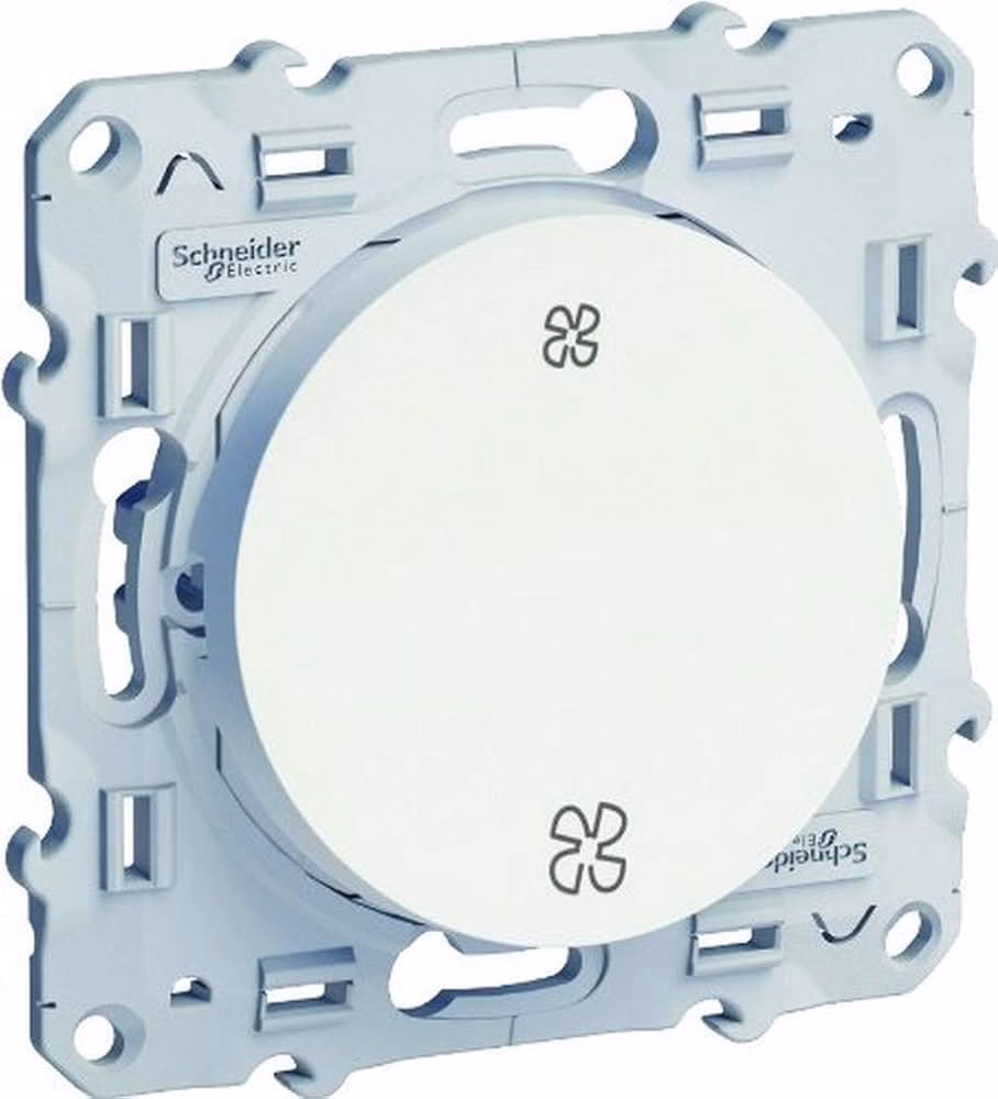 Z czego słynie Schneider?