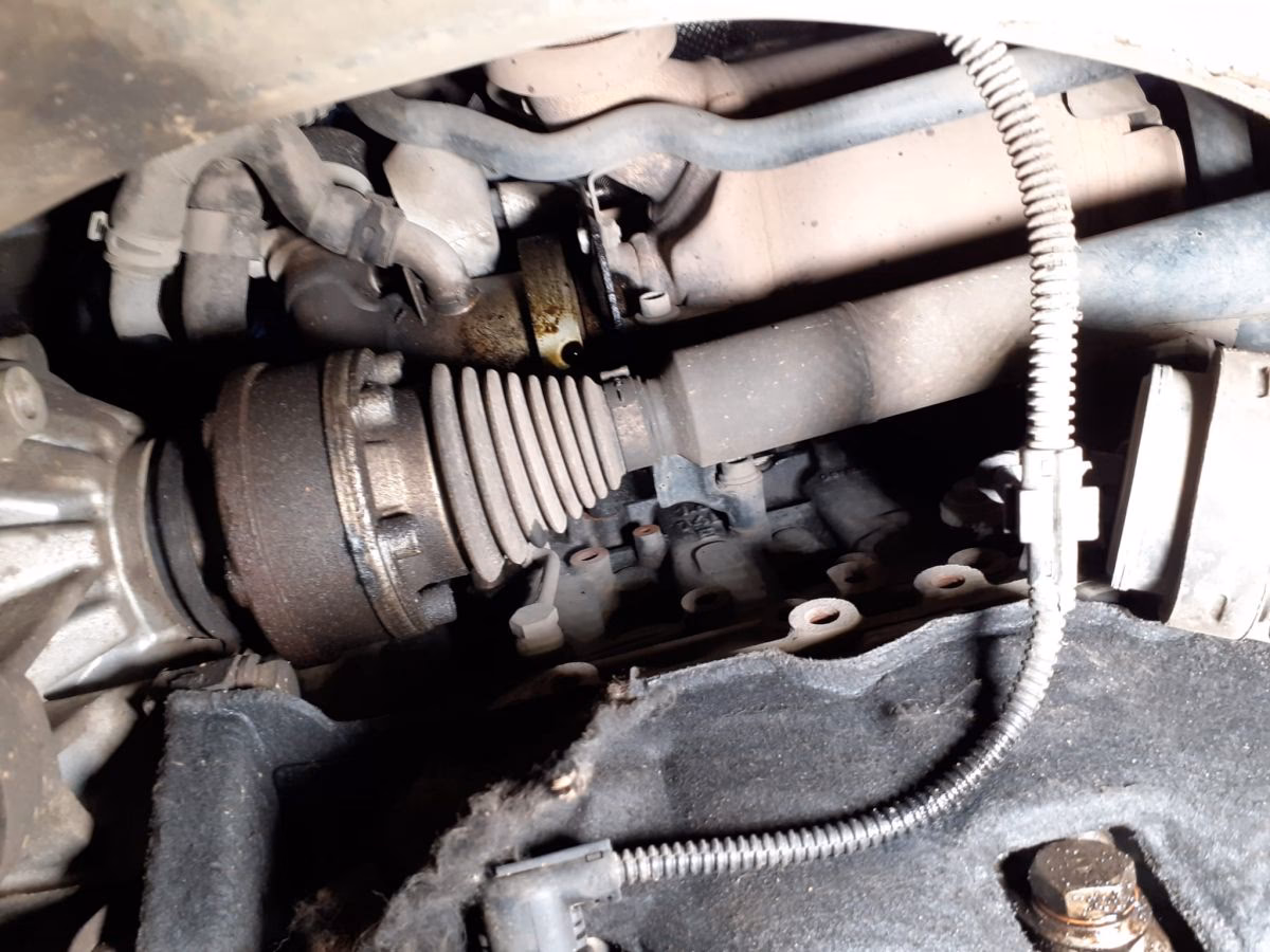 Czy Seat Leon gnije?