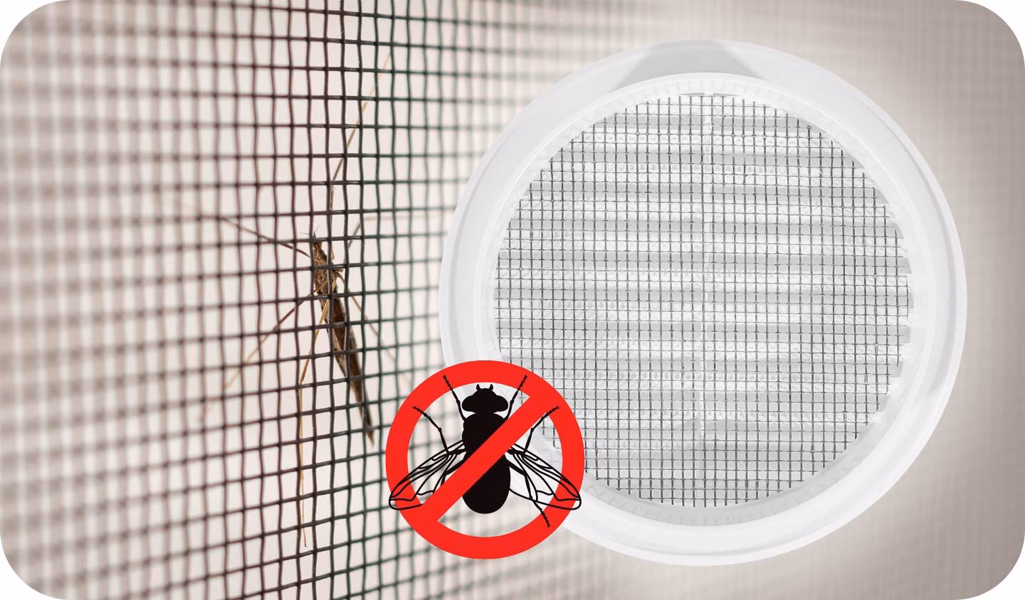 Jak zabezpieczyć wentylację przed owadami?