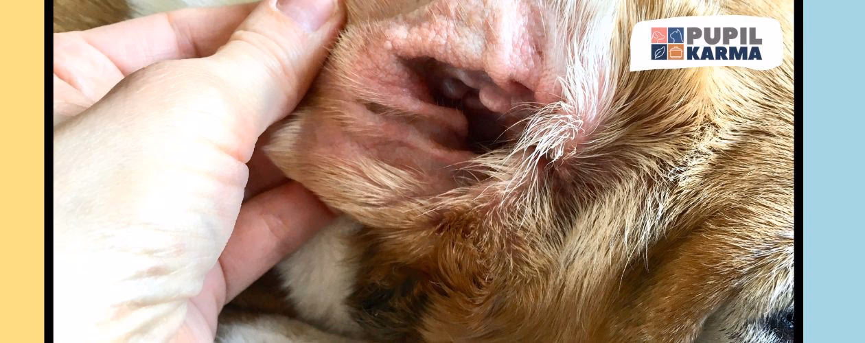 Jakie są objawy niedrożności trąbki słuchowej?