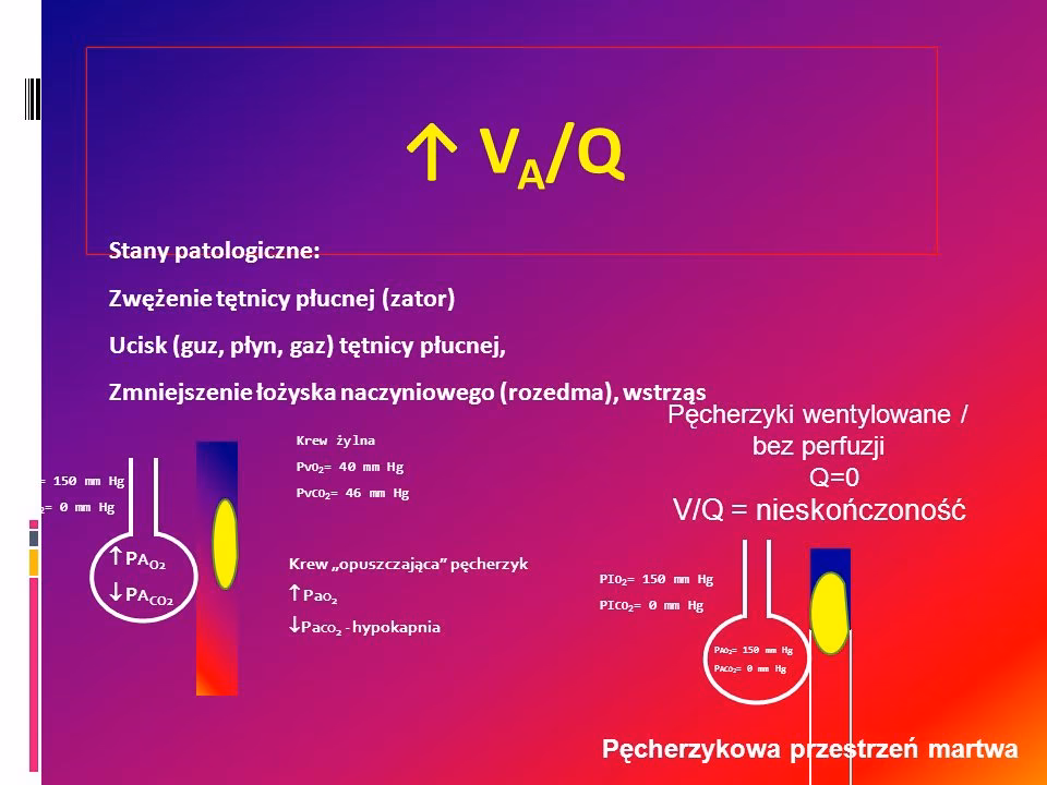 Kiedy wentylacja i perfuzja są równe?