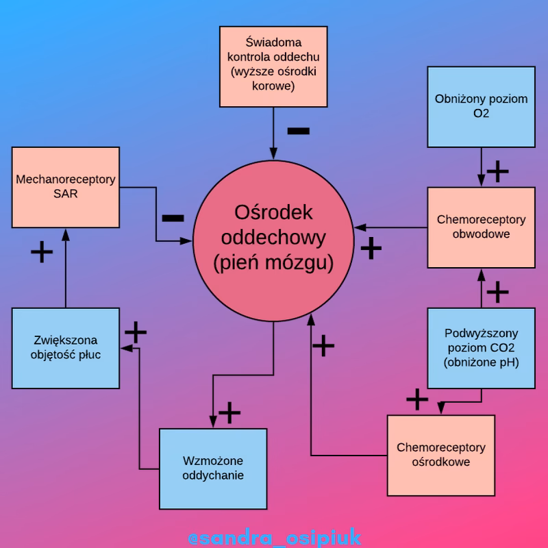 Jak stres wpływa na układ oddechowy?