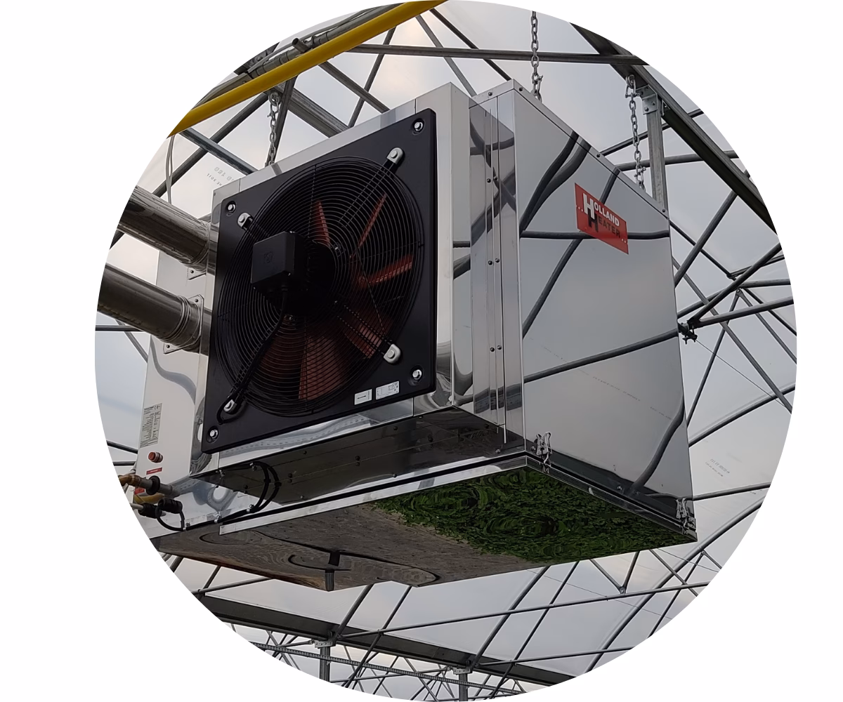 Czy trzeba zamykać tunel foliowy na noc?