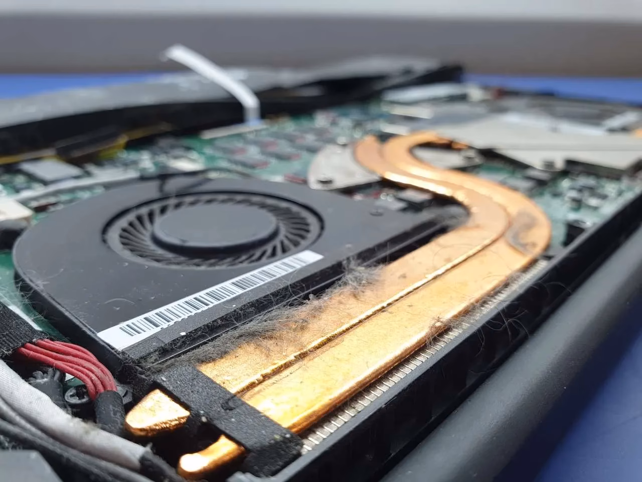 Jak zwiększyć prędkość wentylatora w laptopie ASUS?