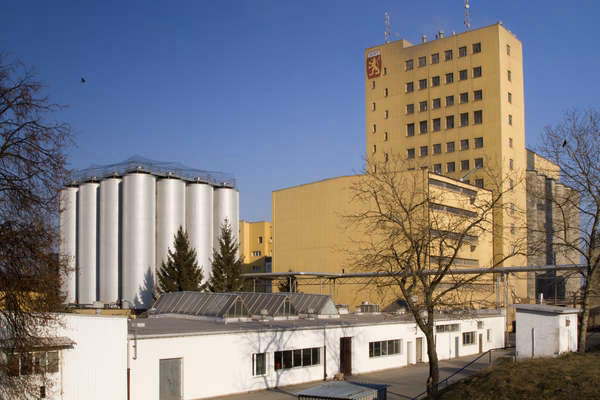 Czy na Orlenie jest płyn chłodniczy?