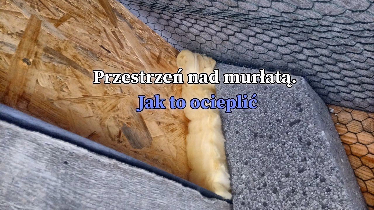 Jak zabezpieczyć dom przed nornicami?