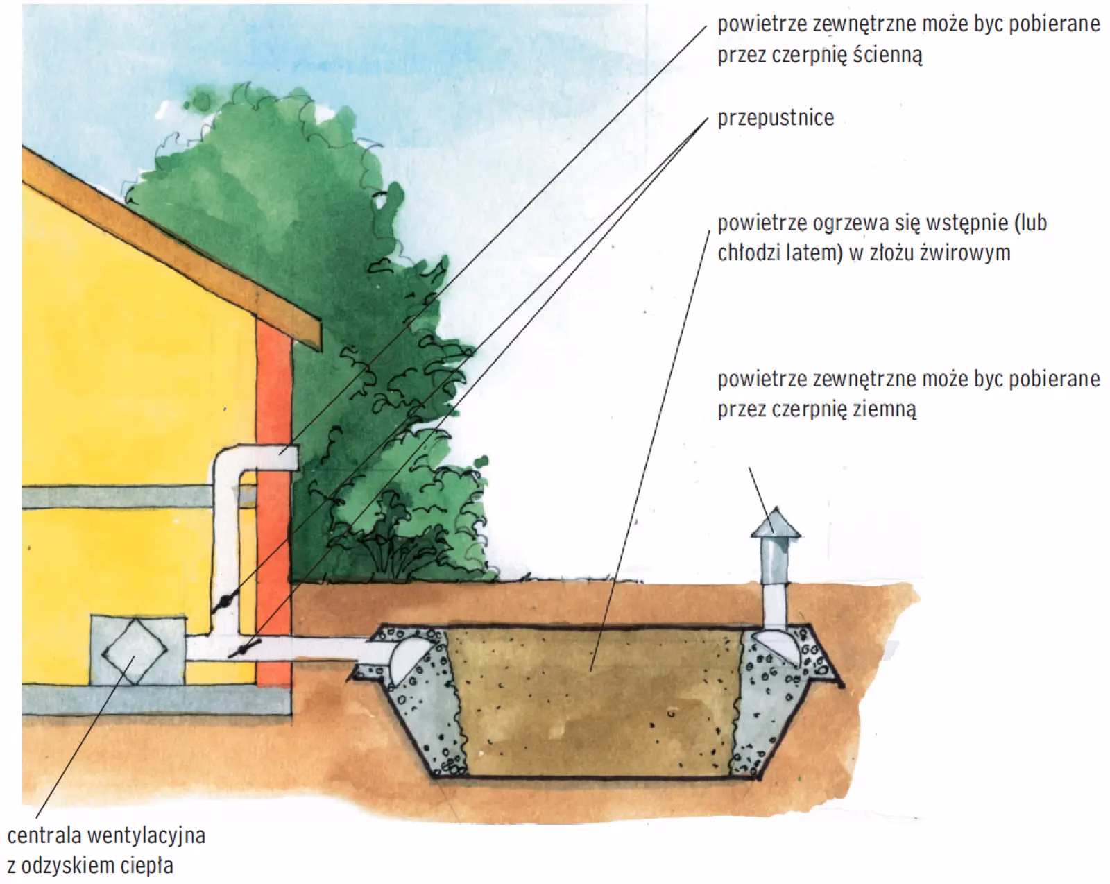 Czy otwory wentylacyjne w piwnicy powinny być otwarte latem?