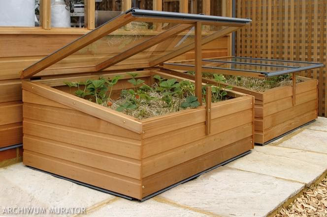 Co to znaczy inspektu?