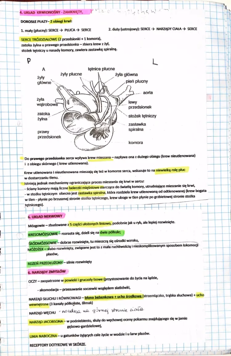 Dlaczego płazy nie przebywają w wodach słonych?
