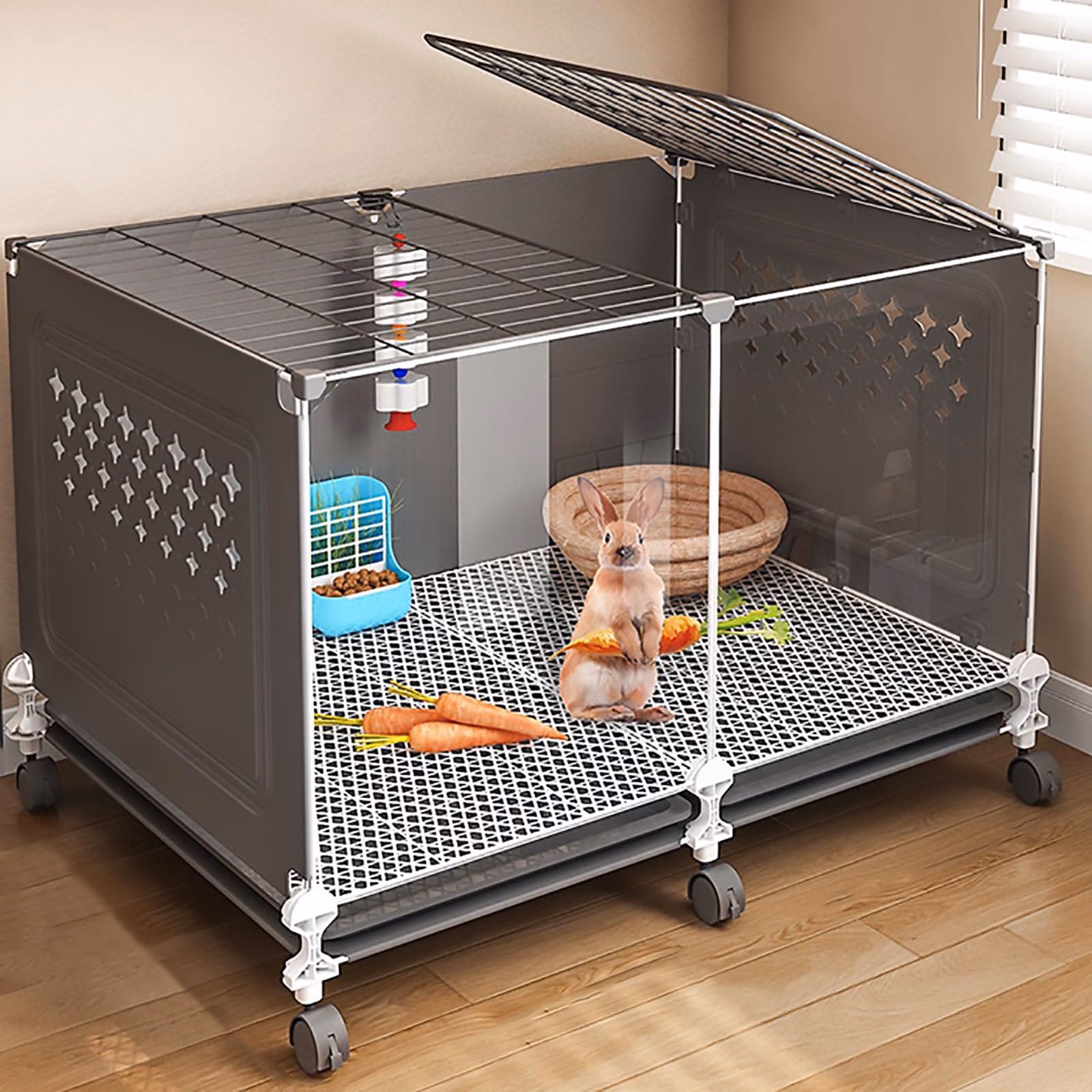 Jak uchronić króliki przed insektami?