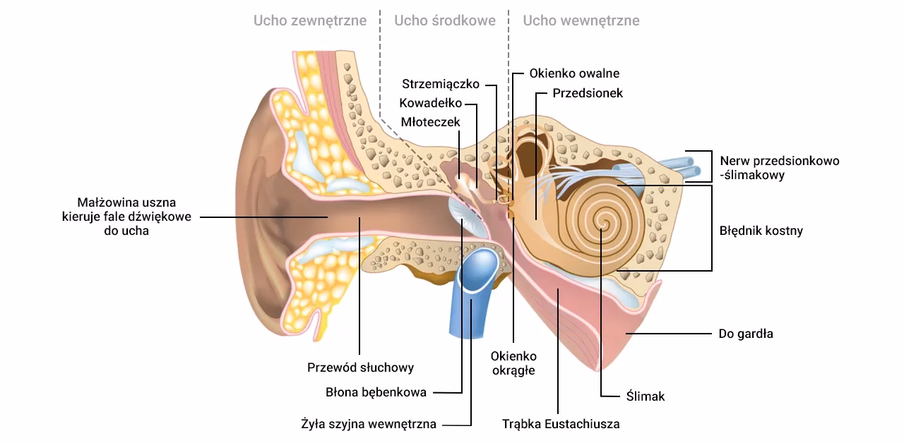 Jak pozbyć się powietrza z ucha?
