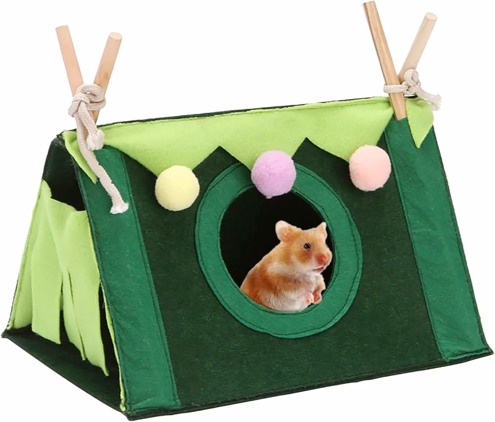 Dlaczego chomiki biegają w kołowrotkach?