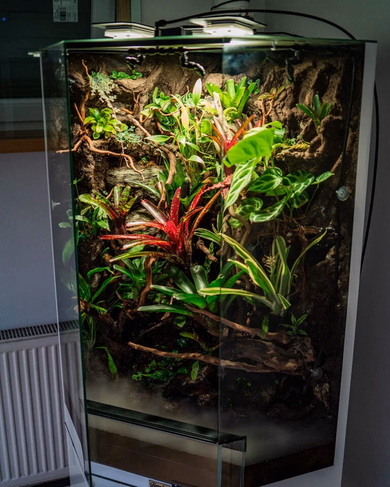 Czy akwaria powodują wilgoć w pomieszczeniu?