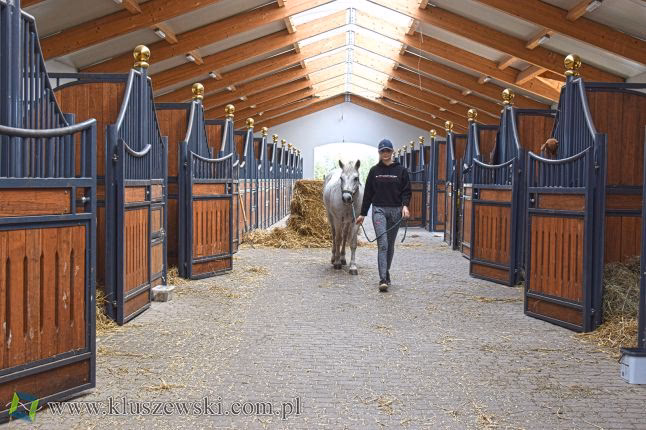 Ile kosztuje budowa stajni na 10 koni?