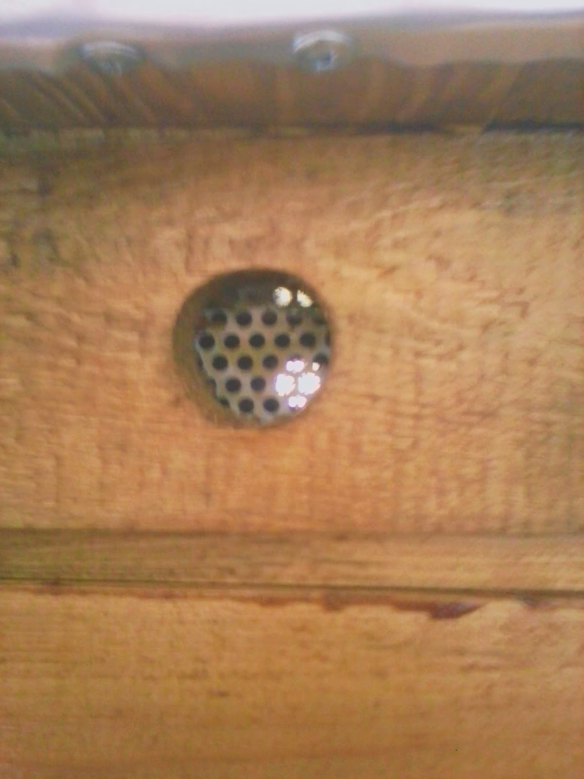 Ile powinno być ramek w ulu warszawskim?