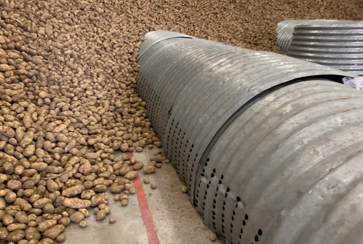 Jak utrzymać ciepło ziemniaków?